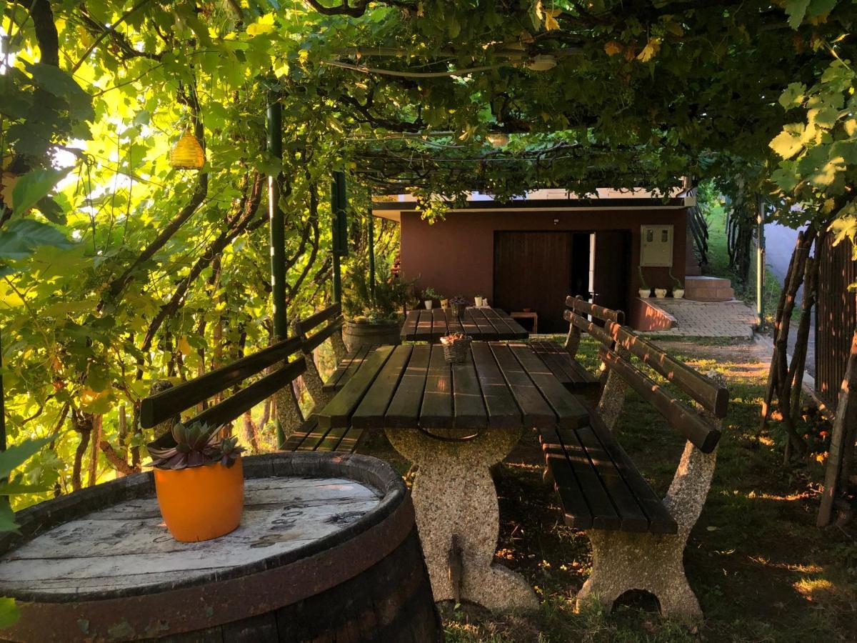 Adorable Guesthouse In The Middle Of Vineyards Ptujska Gora Exterior foto